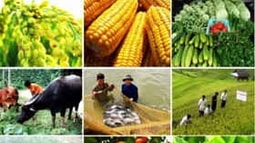Điều kiện đầu tư kinh doanh 6 lĩnh vực ngành Nông nghiệp