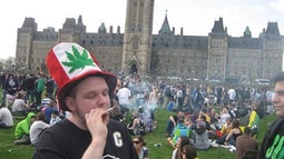 Canada có thể sẽ hợp pháp hóa việc bán cần sa cho người trên 18 tuổi