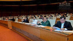 5.000 hec-ta đất dành cho Dự án Cảng hàng không quốc tế Long Thành