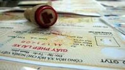 Hành vi của Trần Thị T phải là tội “Khai báo gian dối hoặc cung cấp tài liệu sai sự thật”.