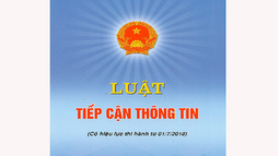Cung cấp thông tin và các hành vi bị nghiêm cấm