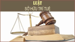Khách sạn sử dụng truyền hình cab phát chương trình ca nhạc có phải trả tiền bản quyền?