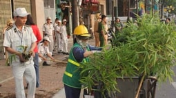 Đà Nẵng – Mềm dẻo trong việc “giành lại vỉa hè”