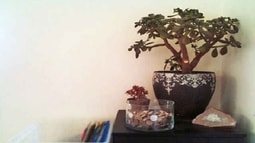 Mẹo phong thủy đơn giản để “tiền vào ào ạt” trong năm mới