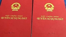 Người đang chấp hành án phạt tù xin cấp sổ đỏ được không?