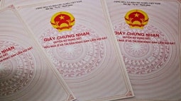 Infographic: Thủ tục cấp sổ hồng cho căn hộ chung cư