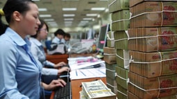 Ai có thẩm quyền ra lệnh phong tỏa tài khoản khi pháp nhân phạm tội?