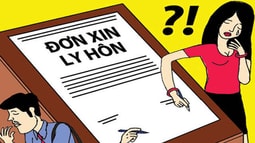 Ly hôn: Chồng yêu cầu vợ bồi thường danh dự 30 triệu đồng