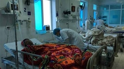 Vụ ngộ độc thực phẩm ở Lai Châu: “Rượu cực độc” được uống trong đám ma