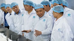 Thủ tướng thăm cơ sở sản xuất tôm có “giấc mơ” 2 tỷ USD