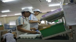 Khởi kiện 150 doanh nghiệp nợ BHXH kéo dài