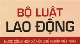 Ai là  bị đơn của vụ án lao động sau khi đơn vị chia tách?