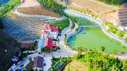 Thanh tra Chính phủ kiến nghị kiểm điểm, xử lý kỷ luật nghiêm ông Phạm Sỹ Quý