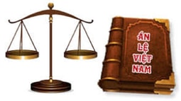 Từ 15/02/2018, 06 án lệ mới chính thức được áp dụng