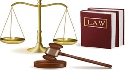 Luật sư có nên gọi bị cáo là thân chủ không?