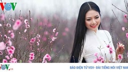Năm mới cùng nghe “Mùa xuân bên cửa sổ“