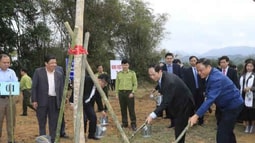 Chủ tịch nước phát động Tết trồng cây Xuân Mậu Tuất