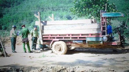 VKSND huyện M’Đrăk khám nghiệm hiện trường vụ vận chuyển gỗ quy mô lớn