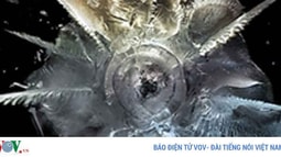 Truy tìm đối tượng bắn vào nhà Giám đốc Sở LĐ-TB-XH