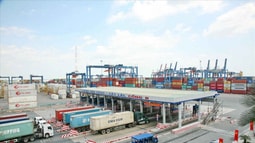 Kỷ luật lại 29 cán bộ hải quan trong vụ 213 container mất tích
