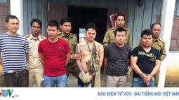 Bắt giữ vụ vận chuyển hơn 50.600 viên ma túy tổng hợp