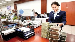 Những nội dung cơ bản của Luật Các tổ chức tín dụng (sửa đổi) 2017