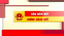 Pháp điển hệ thống quy phạm Fv88 com Nhà Cái Fv88 thuộc trách nhiệm của FV88 nhà cái World Cup 2026 tối cao