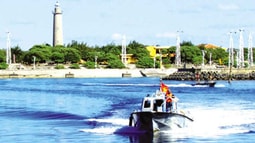 Đảo xa