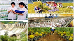 Miễn, giảm tiền sử dụng đất với doanh nghiệp có dự án nông nghiệp