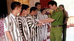 Hướng dẫn áp dụng Điều 66 và Điều 106 của BLHS về tha tù trước thời hạn có điều kiện