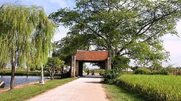 Từ 01/7/2018 thực hiện xây dựng hương ước, quy ước theo quyết định mới