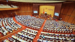 Khai mạc kỳ họp thứ 5, Quốc hội khoá XIV 