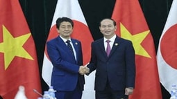 Thúc đẩy hơn nữa quan hệ  Việt Nam - Nhật Bản