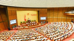 ĐBQH Lưu Bình Nhưỡng: Cần một thể chế cho BOT