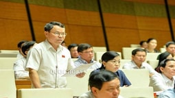 Thất thoát về đất: Lợi ích nhóm trong cổ phần hoá doanh nghiệp  