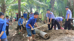 Kỷ niệm mùa hè xanh