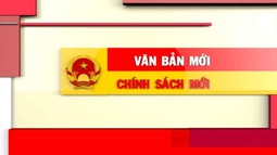 Bộ pháp điển: hướng dẫn cách tra cứu và sử dụng