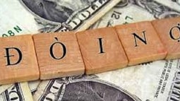 Giám đốc chi nhánh doanh nghiệp đòi nợ phải có trình độ học vấn đại học trở lên