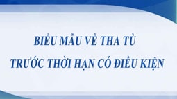 Biểu mẫu về tha tù trước thời hạn có điều kiện