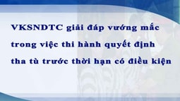 VKSND tối cao giải đáp vướng mắc trong thi hành quyết định tha tù trước thời hạn có điều kiện