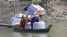 Luật "xung đột", buôn lậu thuốc lá có nguy cơ bùng phát