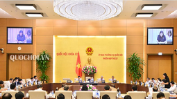 Thảo luận về công tác của cơ quan tư pháp; Công tác phòng, chống tội phạm và vi phạm pháp luật