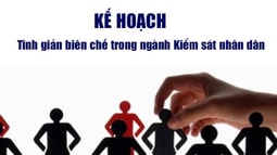 Kế hoạch tinh giản biên chế  từ năm 2018-2021 trong ngành Kiểm sát nhân dân 