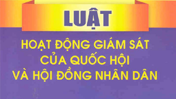 Vai trò giám sát của HĐND trong quản lý, thi hành tạm giữ, tạm giam 