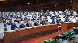Tổng hợp ý kiến thảo luận Dự án Luật Phòng, chống tham nhũng (sửa đổi)