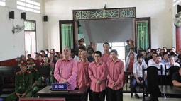 Bình Định: 81 năm tù cho 09 bị cáo hủy hoại hơn 61ha rừng