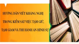 Hướng dẫn viết kháng nghị trong FV 88 đăng ký tài khoản việc tạm giữ, tạm giam và thi hành án hình sự