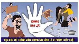 Bình đẳng giới và phòng, chống bạo lực gia đình: Không phải chuyện riêng của mỗi nhà