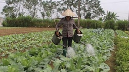Được vay đến 200 triệu đồng mà không cần tài sản đảm bảo