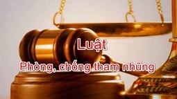 Từ 01/7/2019: Thanh tra, kiểm toán không phát hiện được tham nhũng có thể bị truy cứu trách nhiệm hình sự